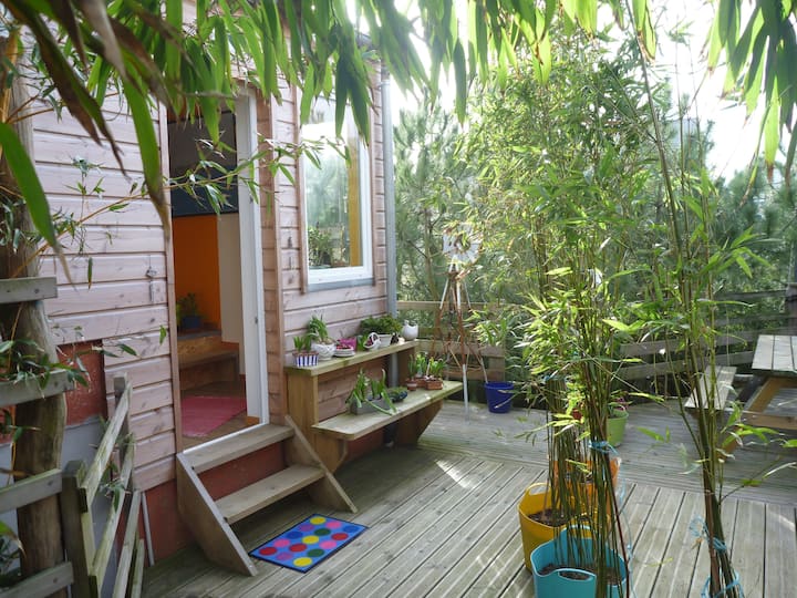 INDEPENDENT FLAT, CLOSE TO THE SEA, cute, atypical