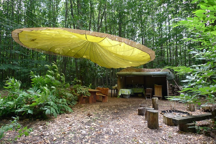 Woodland Yurt in 12 acres - Nr Canterbury