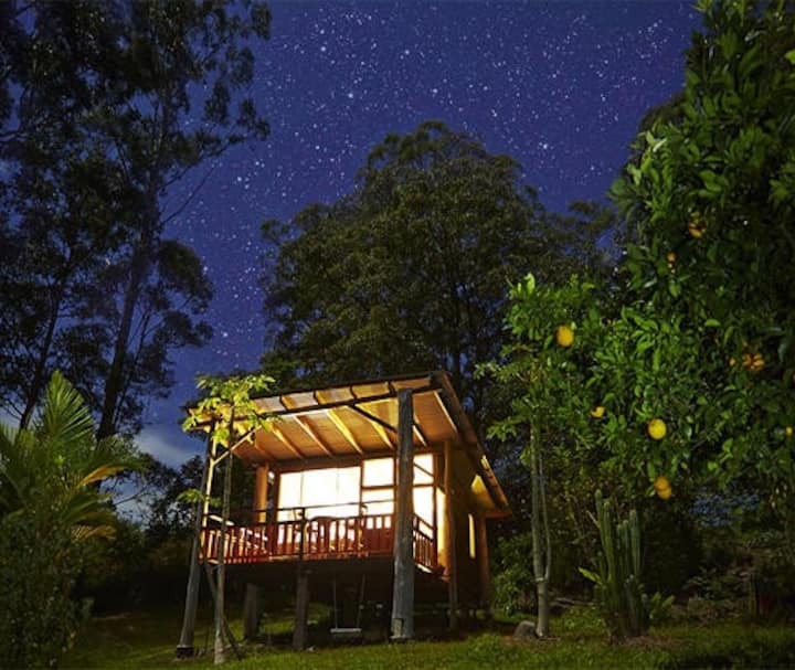 Rainforest eco-chalet for nature lovers.