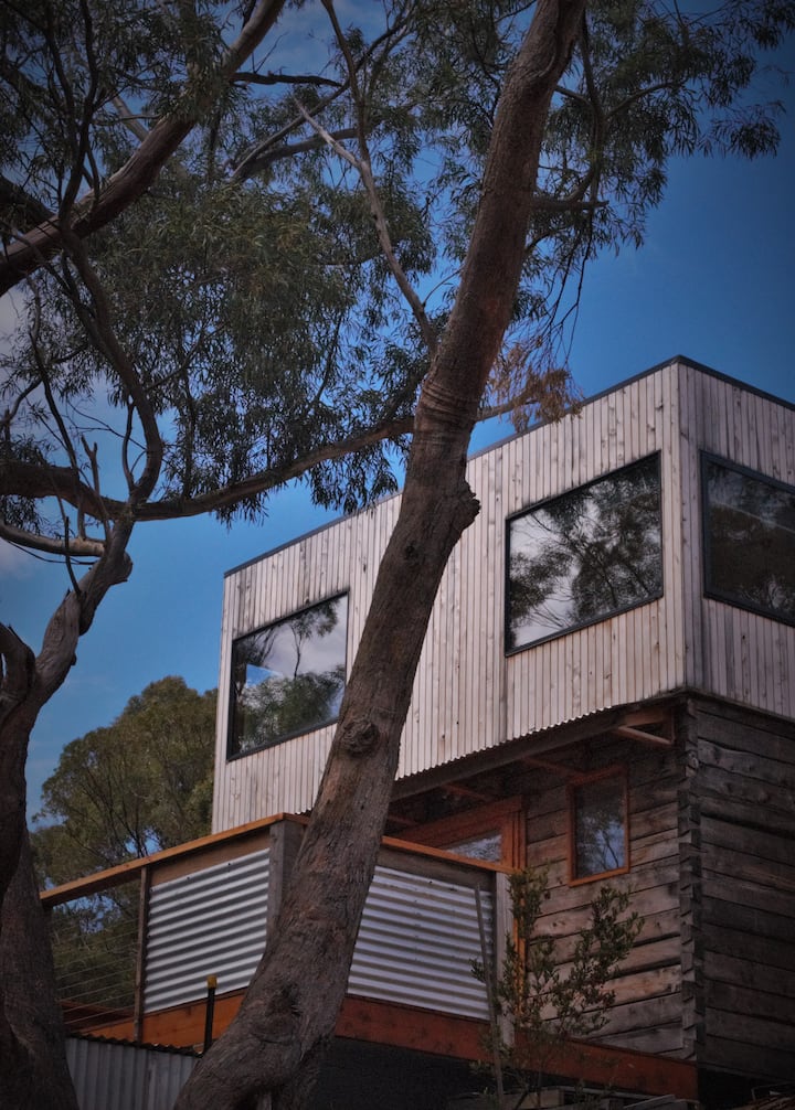 Treetop escape in central Hobart