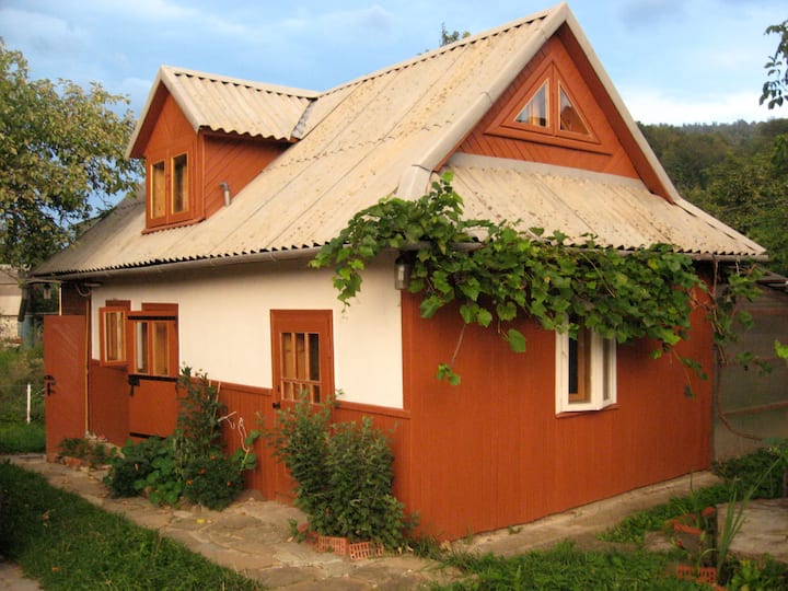 Cozy Carpathian cottage
