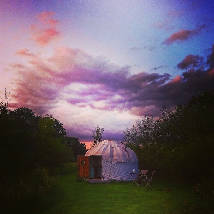 Beautiful Yurt in Dorset "Rose" sleeping 2+Cot