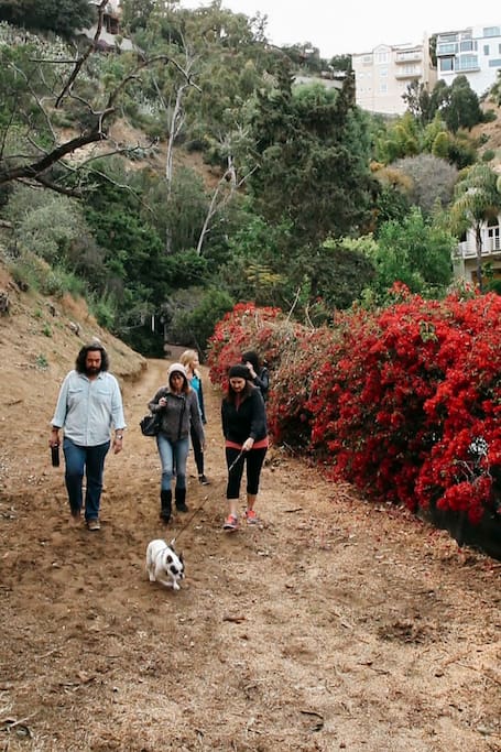 take an intriguing tour of musical artists' neighborhood