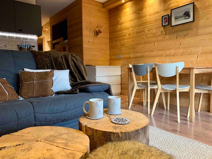 Cozy and warm apartment in Châtel