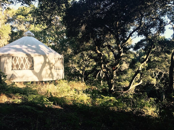 Yurt on 20 Beautiful Acres