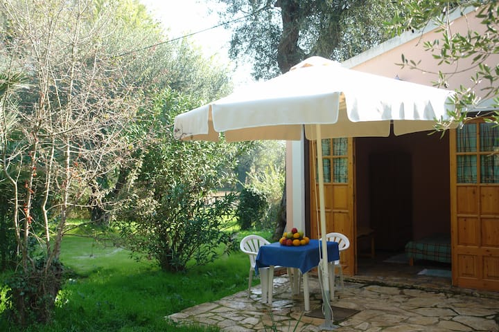 Corfu villa olive, studio near the beach