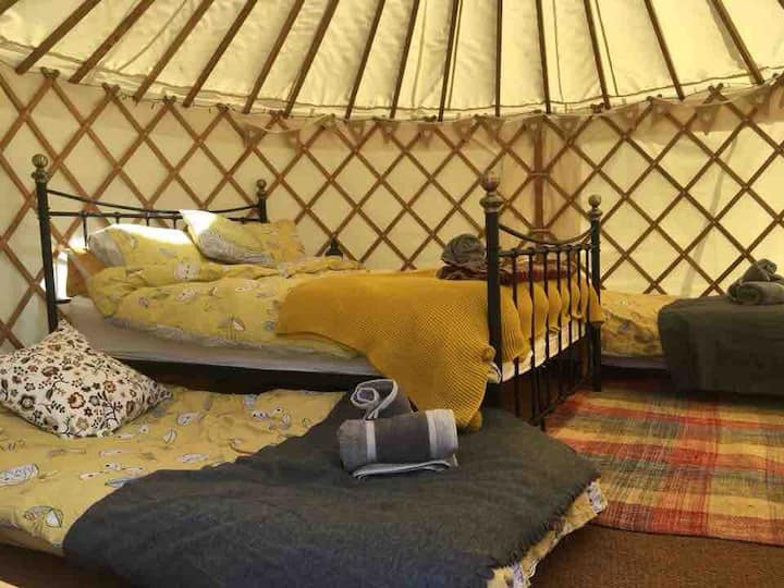 Gorgeous Yurt in Dorset "Daisy" sleeping 4
