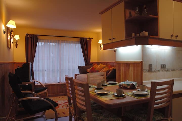 Comfortable Apartment in Pucón