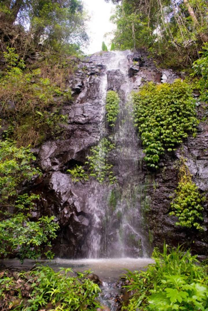 #Nimbin Waterfall Retreat large private cabin