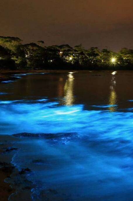 romantic things to do in montego bay | enjoy a luminous lagoon sail