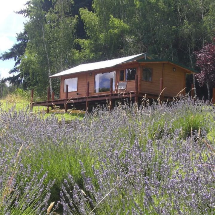 Lavender Cabin El Bolsón
