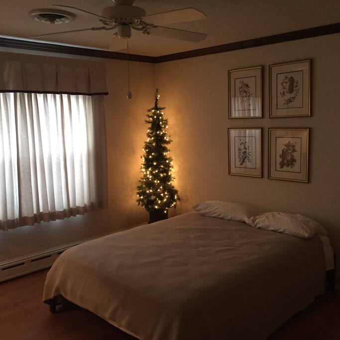 credit score card consolidation programs government