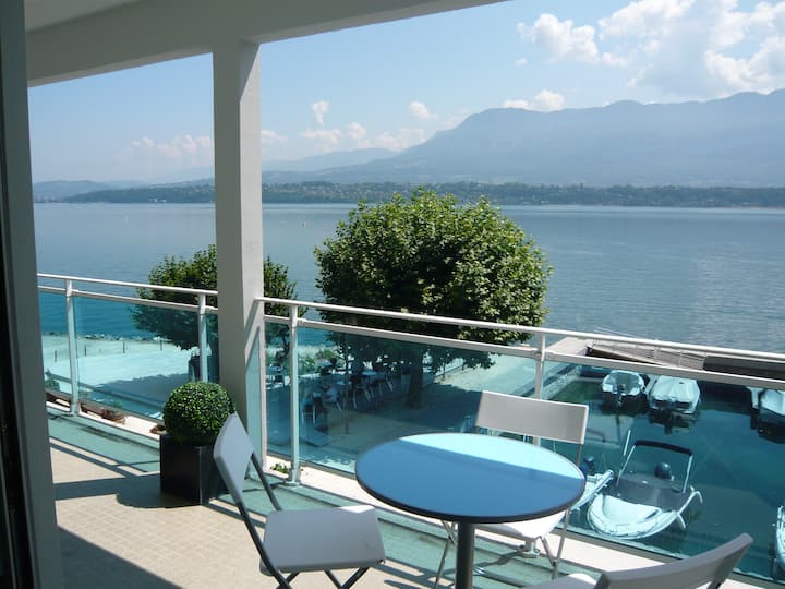 DREAM VIEW OF LAC DU BOURGET