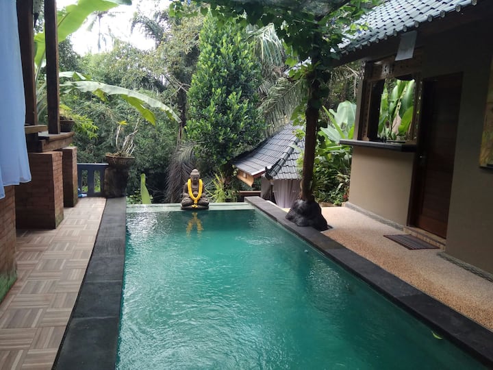 Secluded jungle villa w private pool & serene view