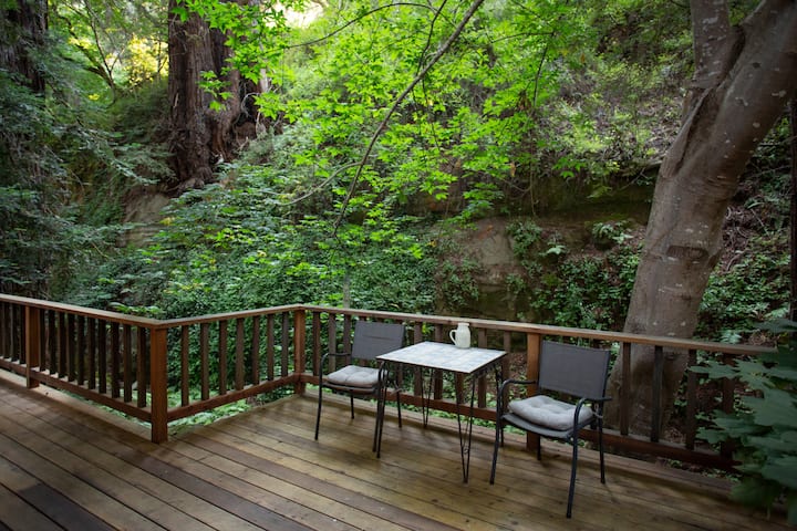 tranquil cabin in a redwood grove