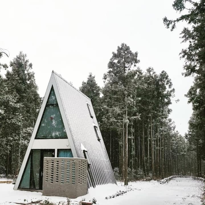 interforest inn a