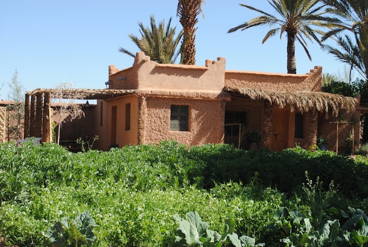 Berber cottage in the oasis with swimming pool