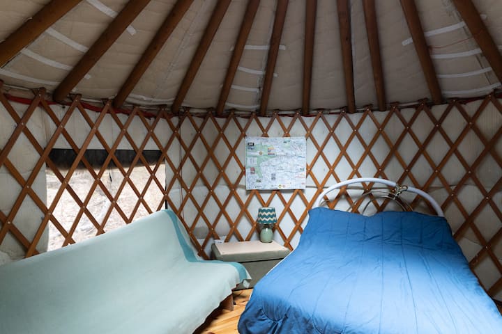 A Yurt in the Forest