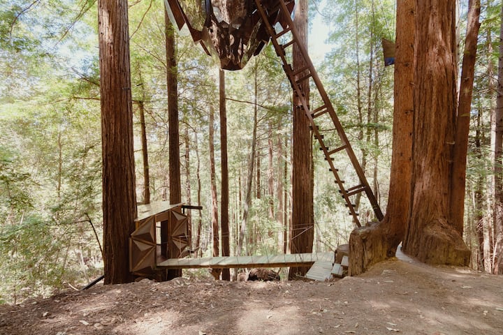 the pinecone treehouse; bonny doon, california
