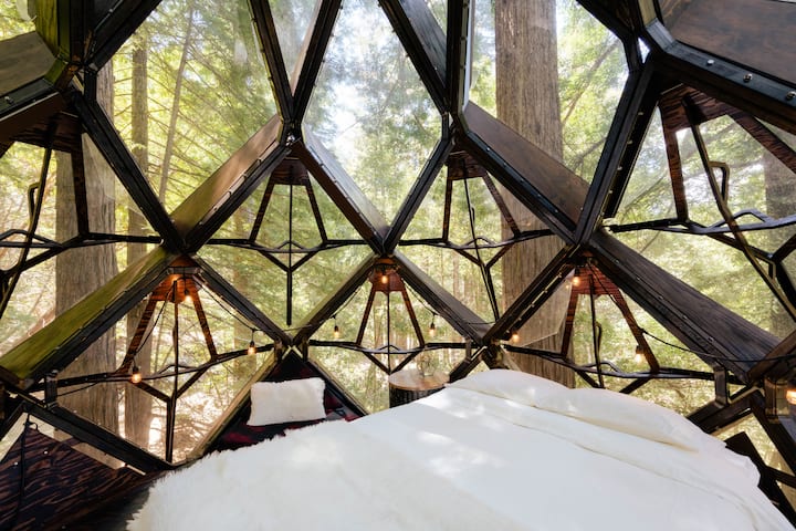 the pinecone treehouse; bonny doon, california