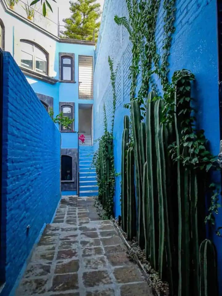 Casa en san miguel airbnb