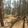 Explore the 2 mile nature trail along the edge of our property.