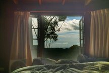 The Den at the Treehouse