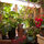 The Dr. Seuss garden room
