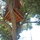 Beautiful Cozy Treehouse near Beach