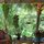 Rancho Ricco horse ranch and farm