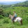 Rancho Ricco horse ranch and farm