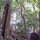 Rancho Ricco horse ranch and farm