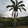 Rancho Ricco horse ranch and farm