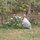 Rancho Ricco horse ranch and farm