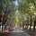 Rancho Ricco horse ranch and farm