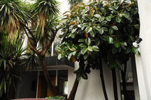 BEST HOUSE IN S. MIGUEL CHAPULTEPEC