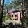 The house, as seen from the backyard.  The national forest starts here and basically never ends.