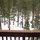 The national forest starts here.