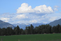 UP SCALE IN THE MOUNTAINS! Montana