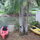 2 Kayaks!