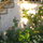 Enjoy the beautiful roses in the garden