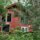 Cinnamon Bear Cabin