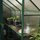 Let's see what's in the greenhouse