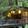 Redwood Treehouse Santa Cruz Mtns.
