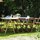Garden dining