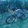 ….you can borrow one of our bikes to take coastline tour…...