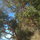 madrona's on beach near cottage