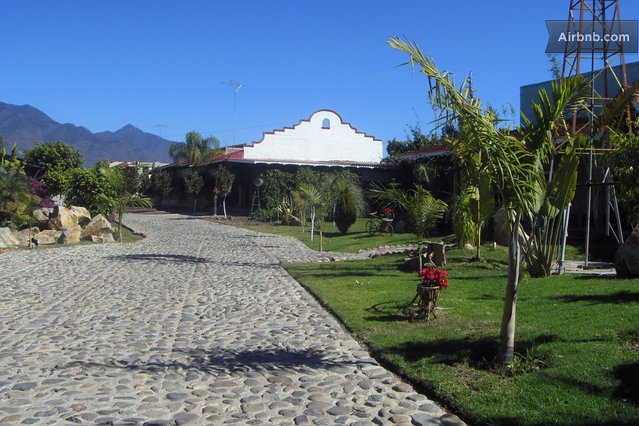 Large