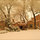 Winter on Morada Lane