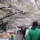  cherry blossoms 